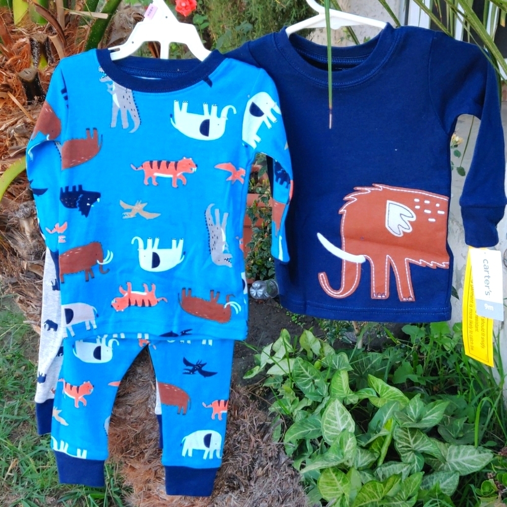 Carter's boy sets 4 piece size 9M